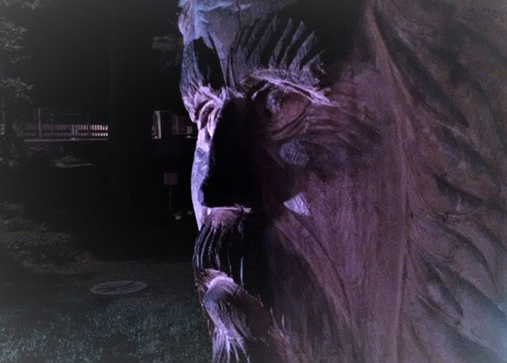 The 2022 Christmas tree season in the Austin Area, Shortage, Inflation, Price & things we wish we had known!