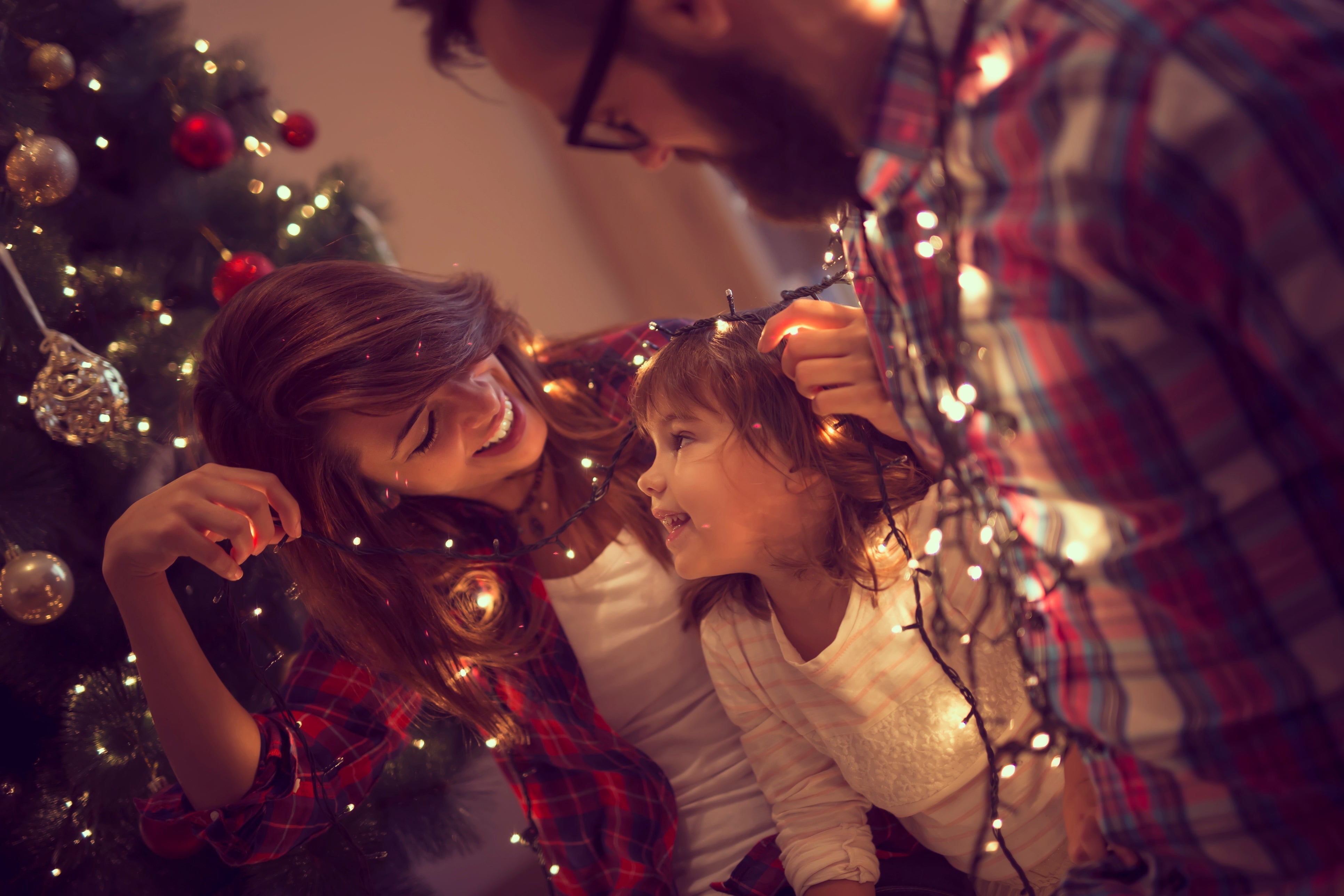Details on about the 2025 Christmas Tree Pre-Sale