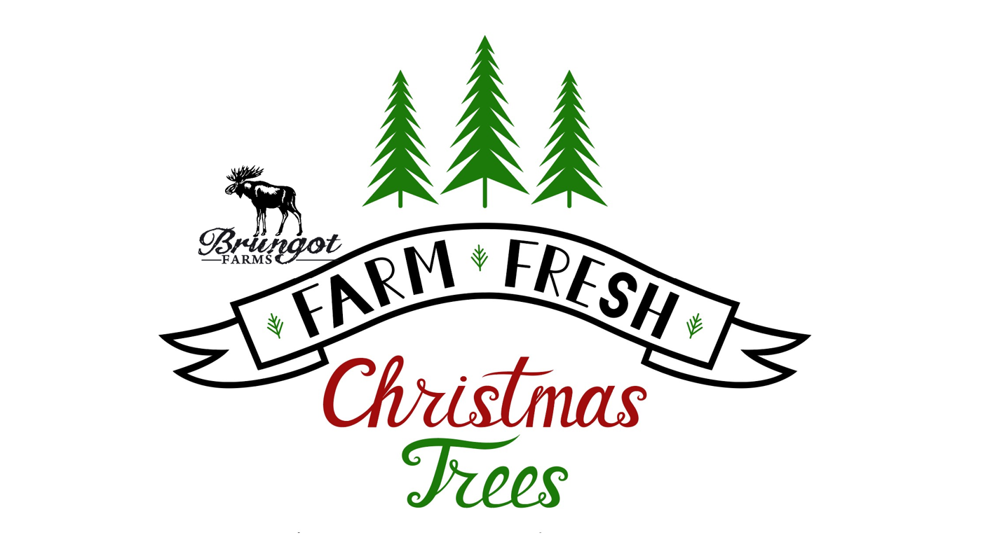 Real Christmas trees, delivered fresh from the Christmas tree farm ...